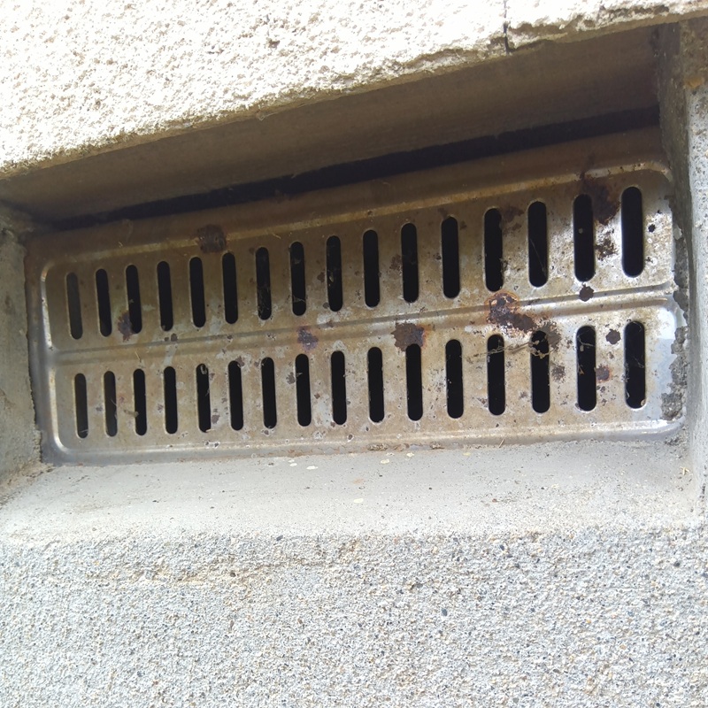 ネズミ駆除の施工事例（新潟県新潟市中央区姥ケ山）