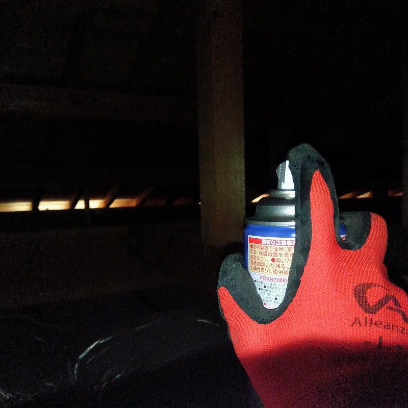 コウモリのねぐらの天井裏に忌避剤を散布