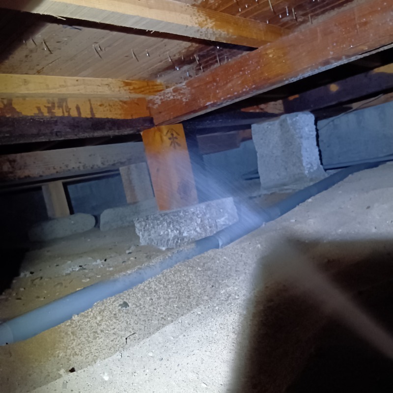 床下全体の木部にシロアリ駆除剤を散布