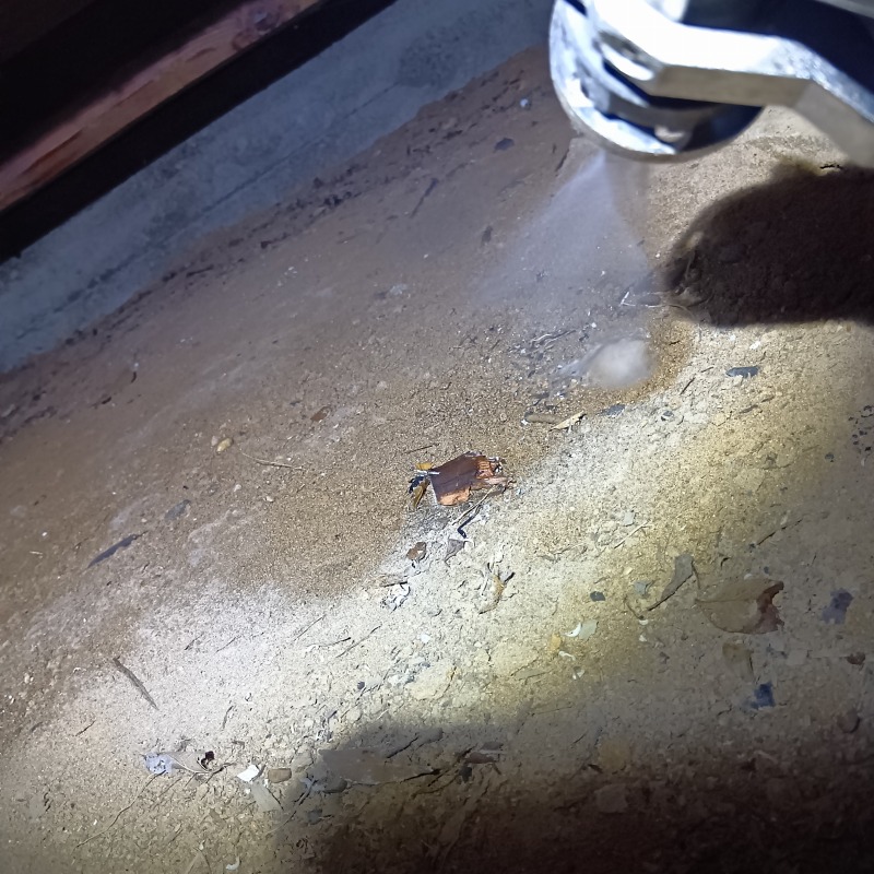 床下の地面にシロアリ駆除剤を散布