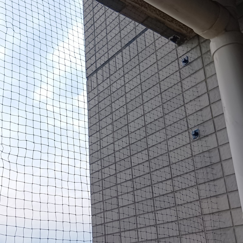 ベランダに鳩よけネットを設置