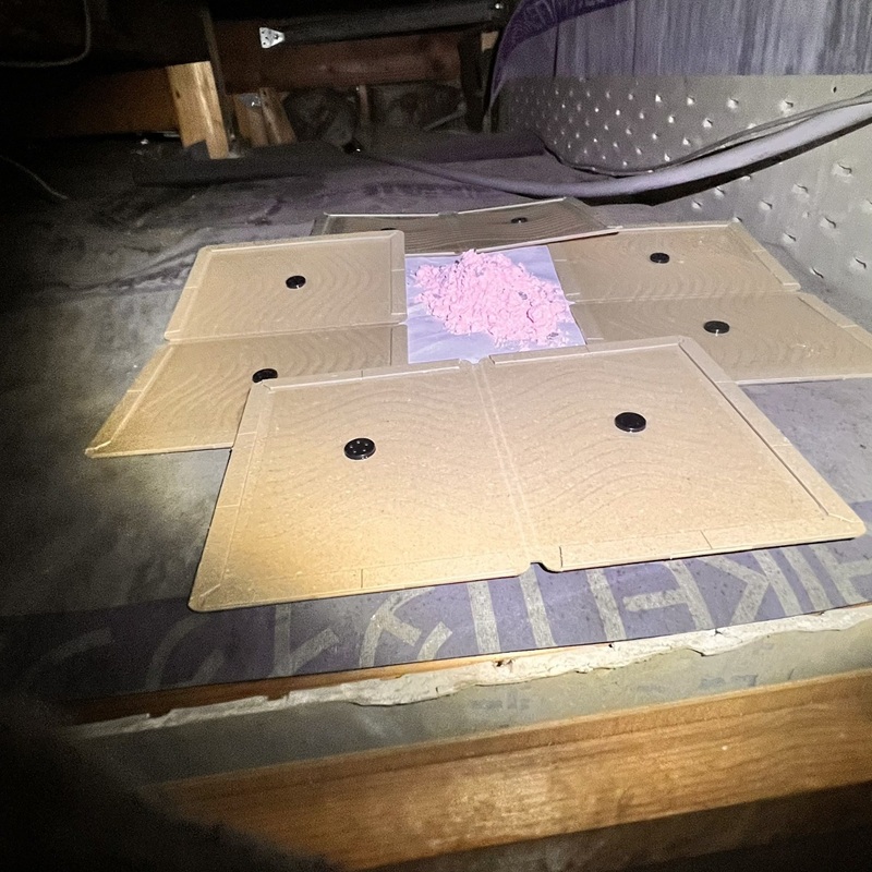 天井裏に設置した殺鼠剤と粘着シート