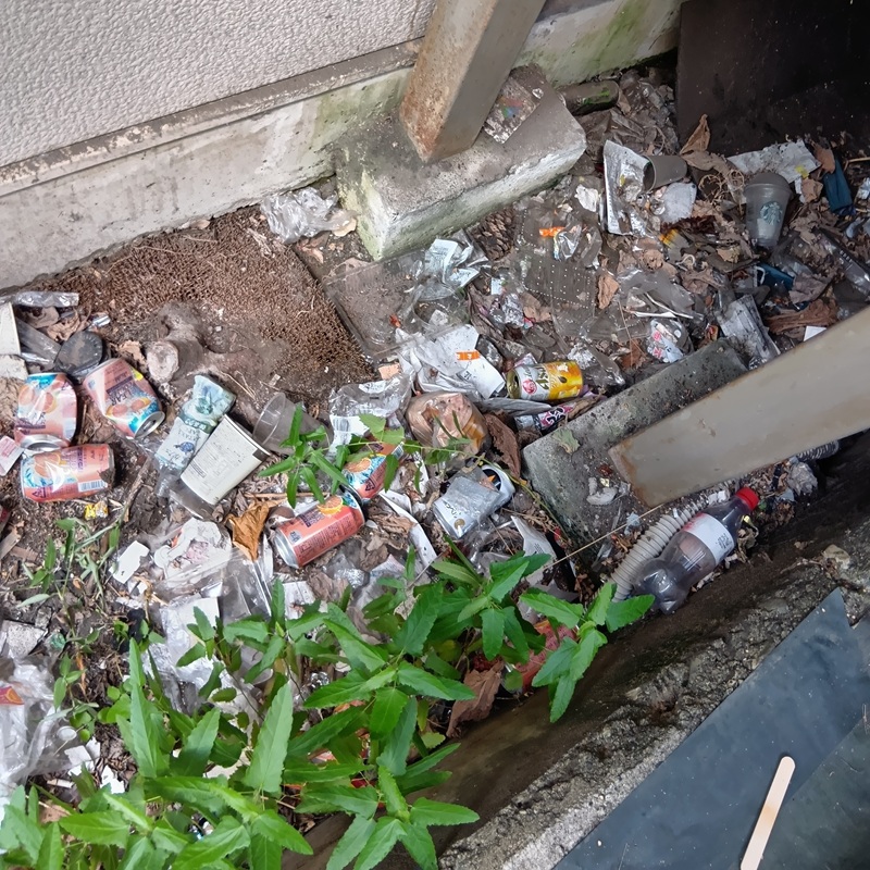 ネズミ駆除の施工事例（神奈川県横浜市保土ケ谷区）