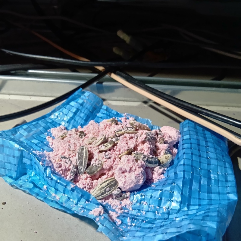 屋根裏の殺鼠剤