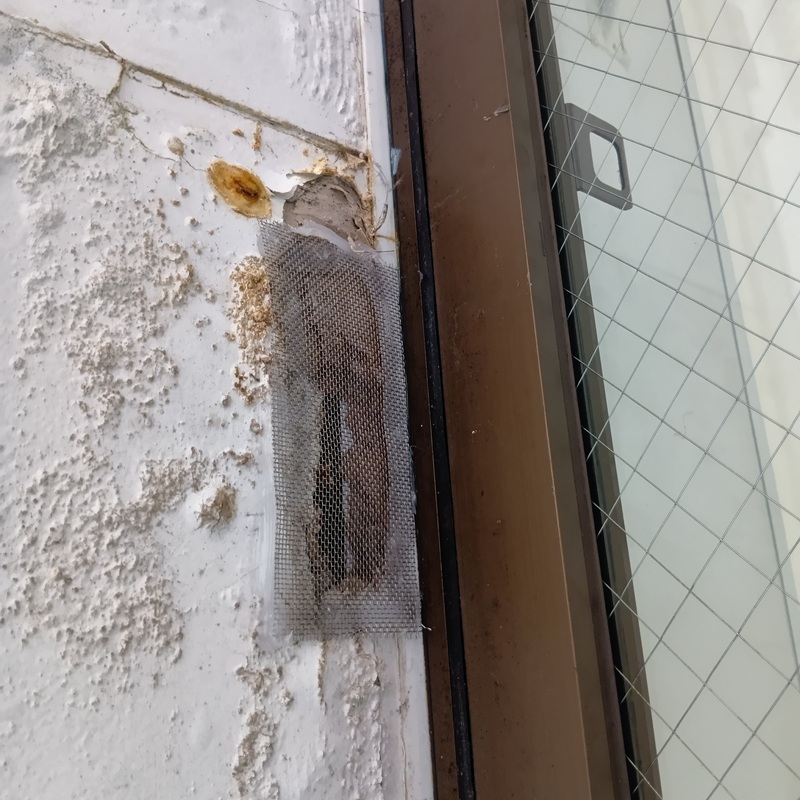 外壁の穴をふさいだ様子