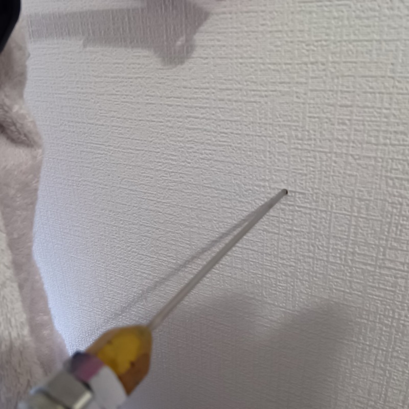 壁に穴を開けてシロアリ駆除剤を注入