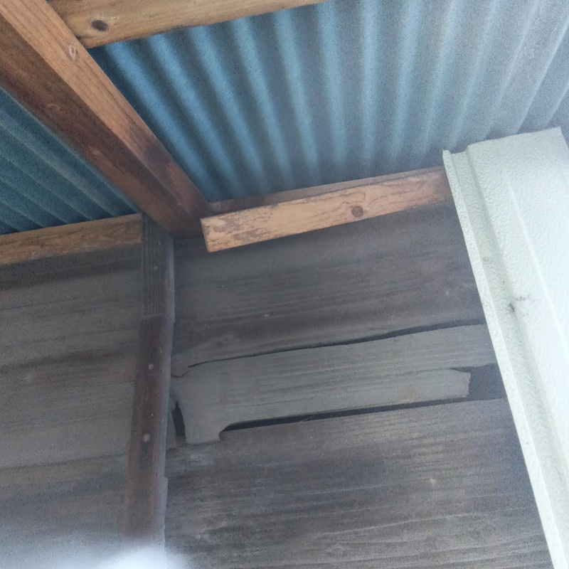 イタチ駆除の施工事例（岐阜県岐阜市加納上本町）