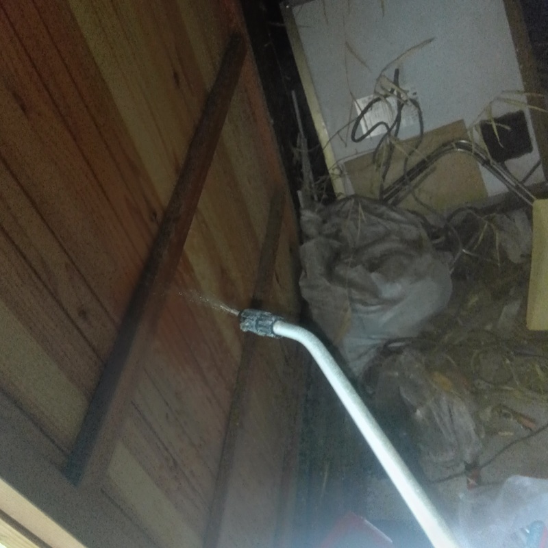 物置内に殺虫・消毒剤を散布する様子