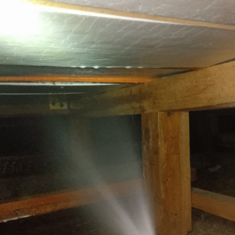 床下の木材にシロアリ駆除剤を散布