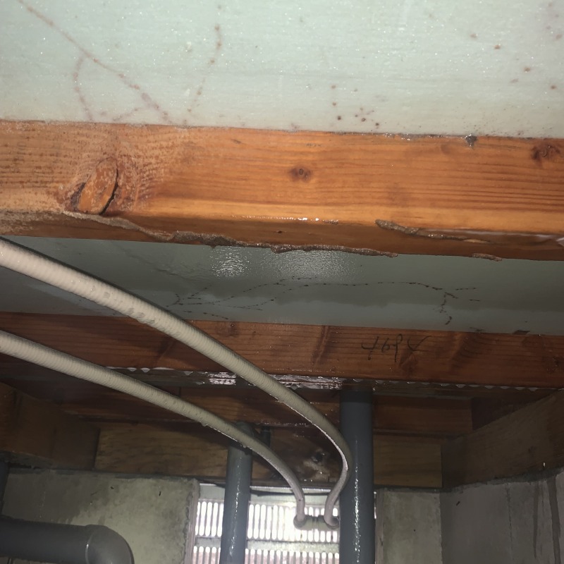 築年数23年のシロアリ駆除の施工事例（愛知県半田市住吉町）