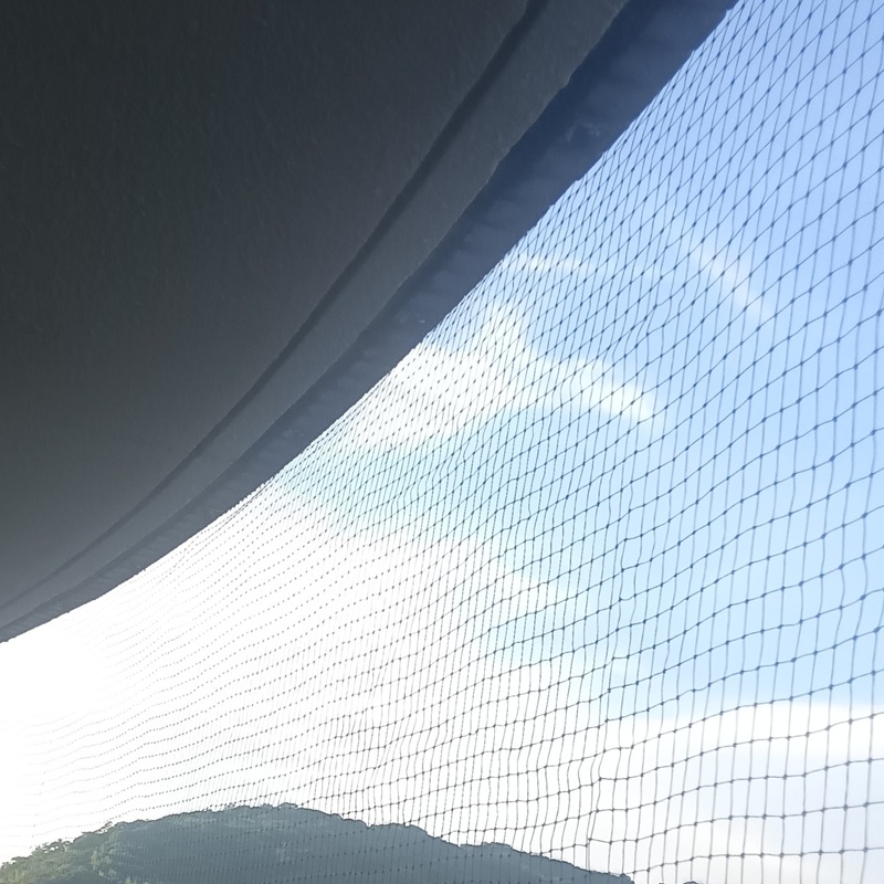 鳩対策の施工事例（兵庫県淡路市志筑）