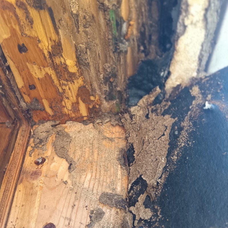 築年数25年のシロアリ駆除の施工事例（神奈川県大和市0）
