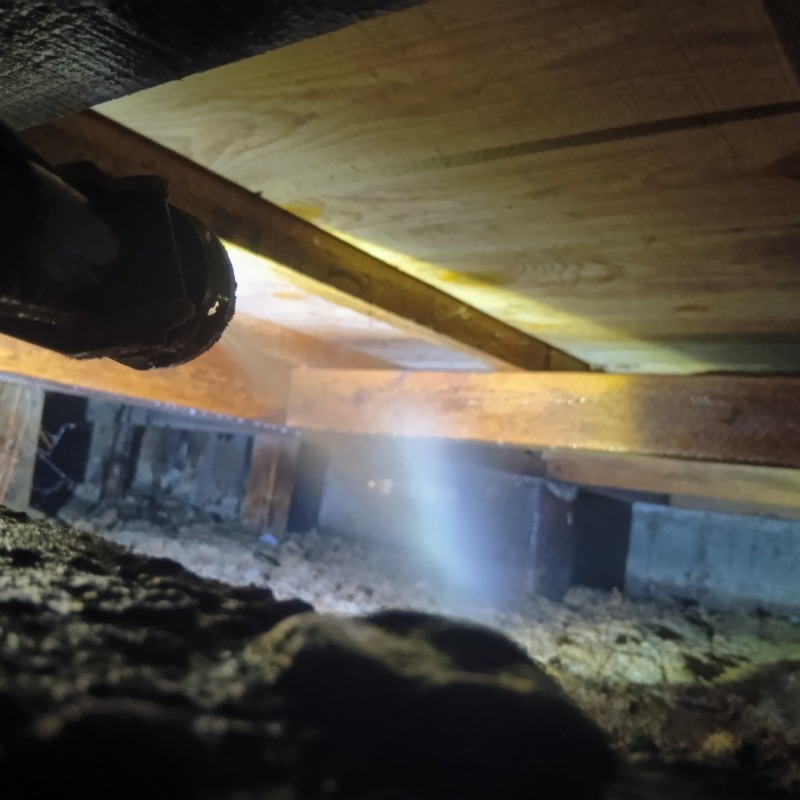 床下の地面にシロアリ駆除剤を散布