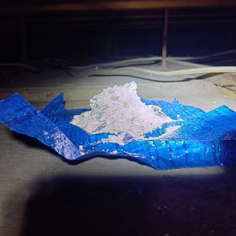 屋根裏に殺鼠剤を設置