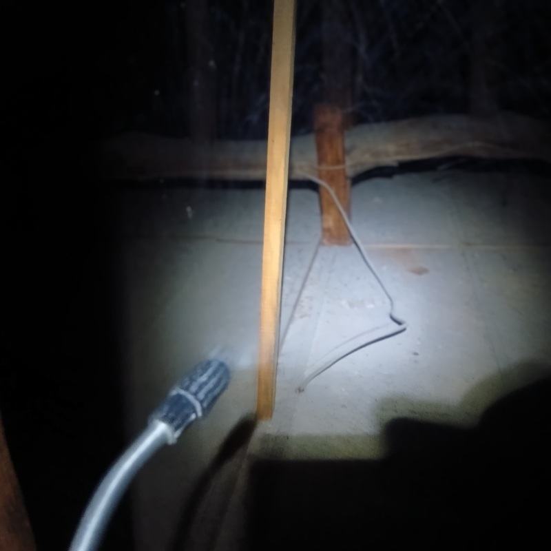 殺虫・消毒剤を散布