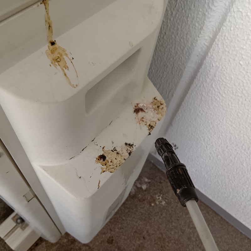 フン害清掃の様子