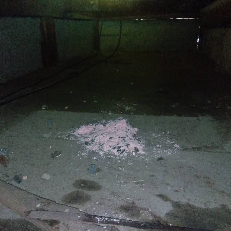 殺鼠剤を天井裏に設置している様子