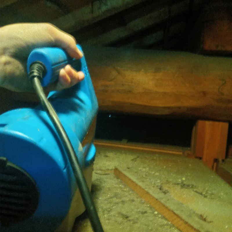 コウモリのねぐらを清掃・除菌する様子