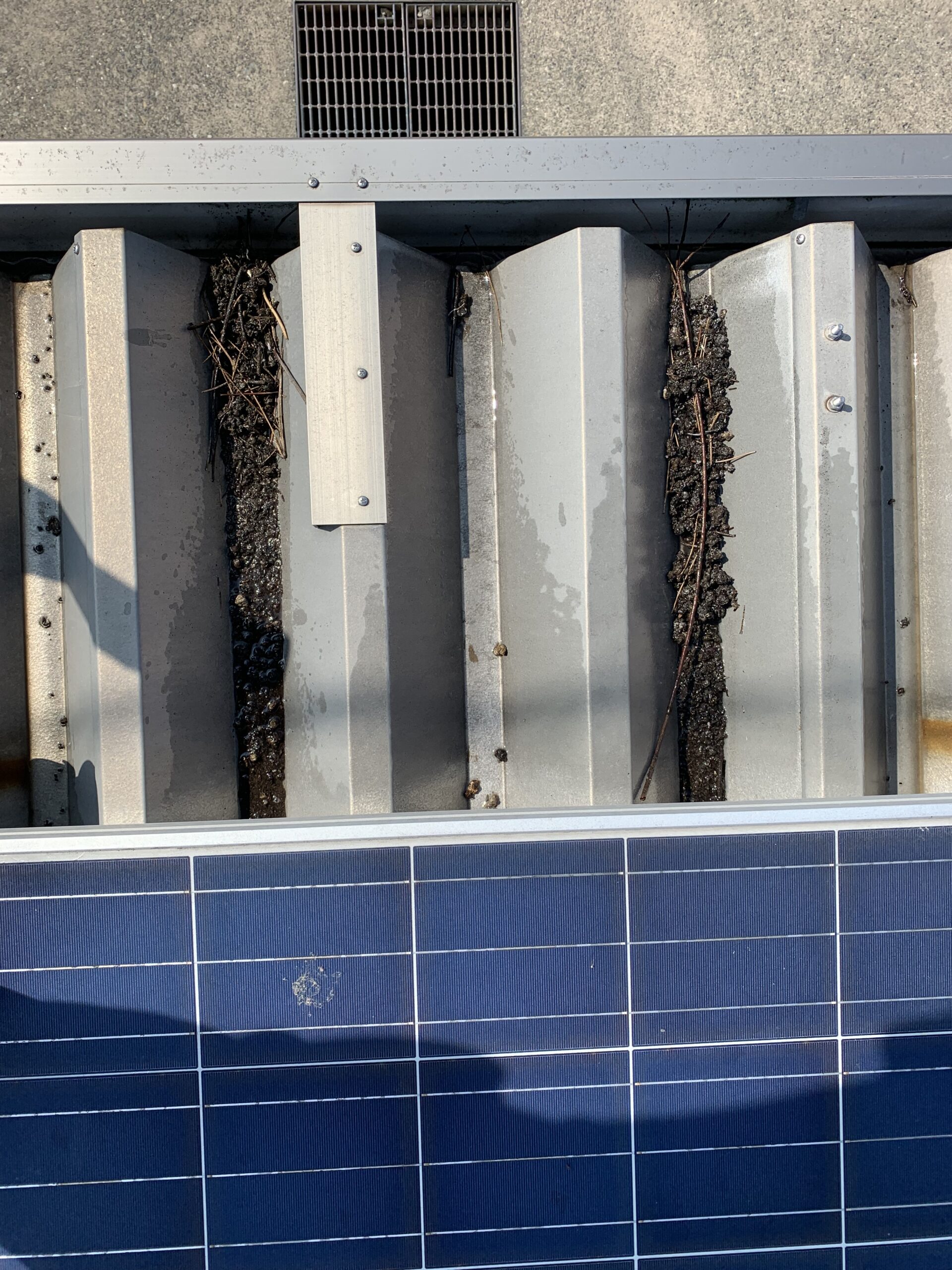 鳩対策の施工事例（愛知県一宮市東五城）