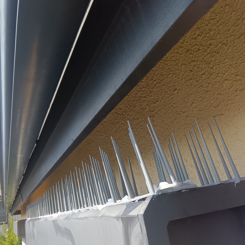 シャッターボックス上に設置した剣山