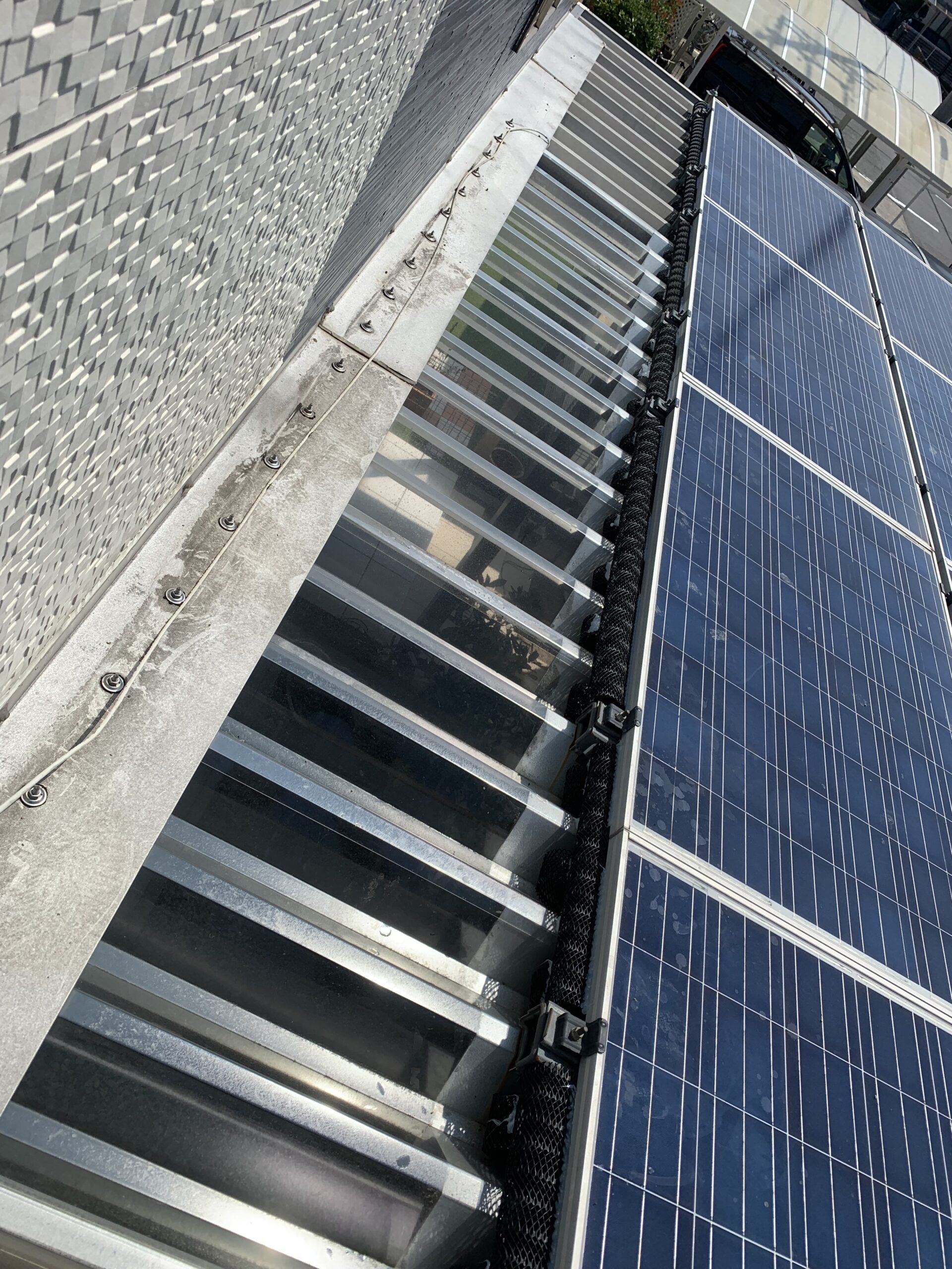 太陽光パネル下に防鳥ネットを設置した様子