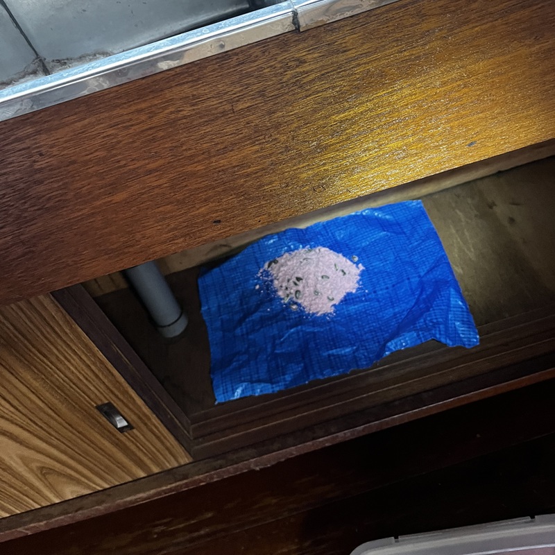 殺鼠剤を設置した様子