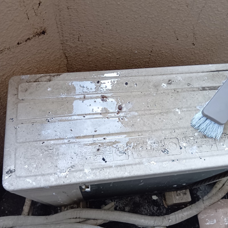 フン害清掃の様子