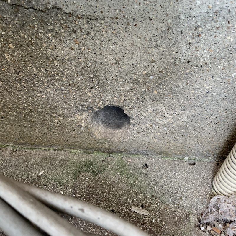 ネズミ駆除の施工事例（愛知県知多市にしの台）