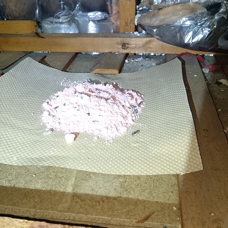 屋根裏に設置した殺鼠剤