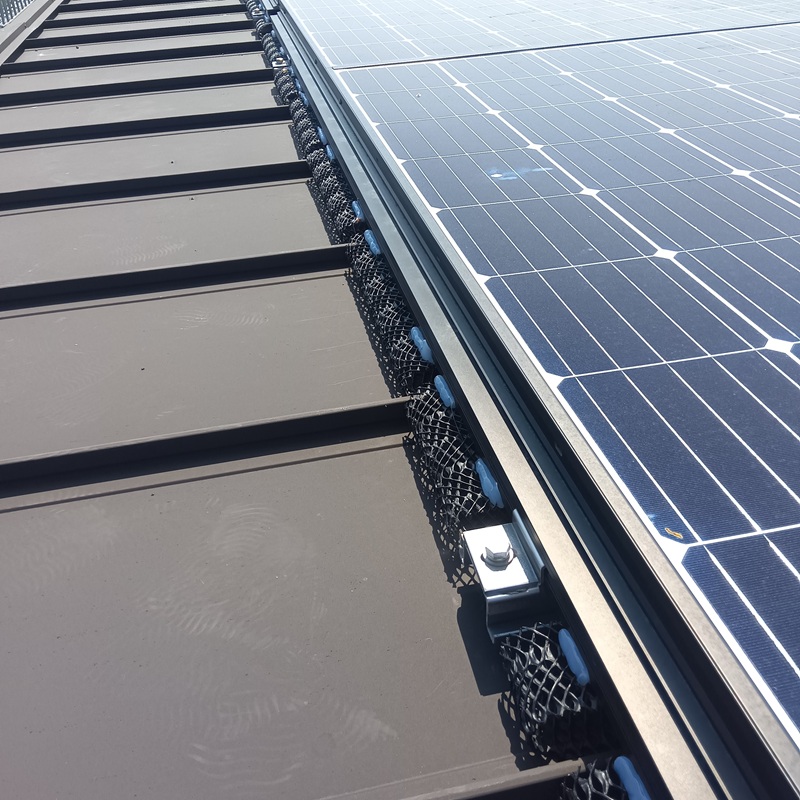 太陽光パネル下に防鳥ネットを設置