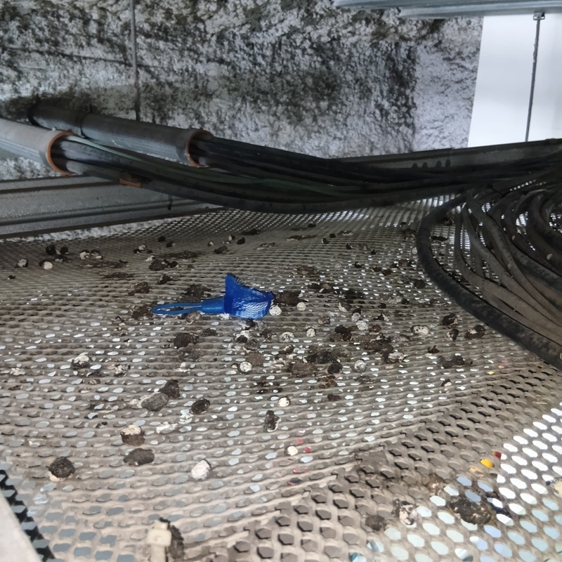 鳩対策の施工事例（宮城県仙台市泉区泉中央）