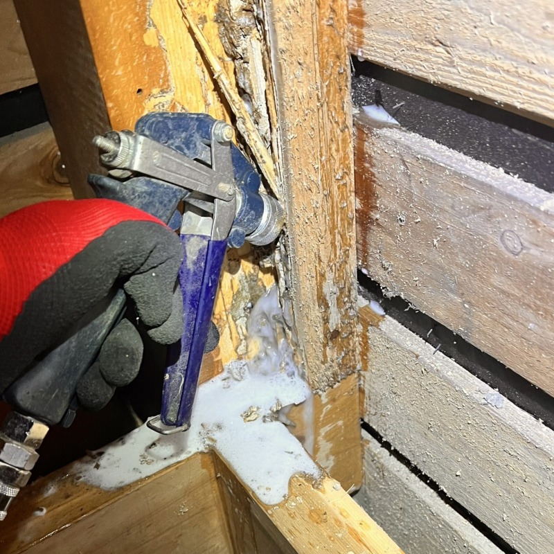 食害を受けた木材にシロアリ駆除剤を注入