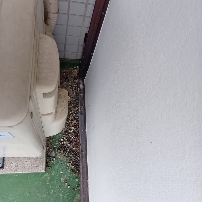 鳩対策の施工事例（栃木県宇都宮市宿郷）