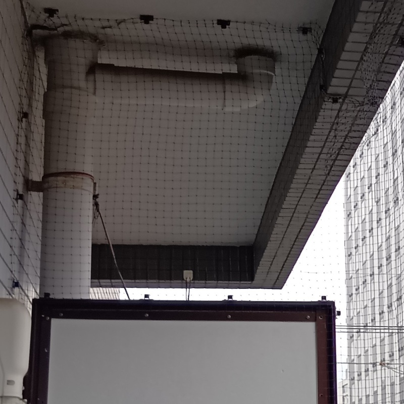 防鳥ネットを設置したベランダ