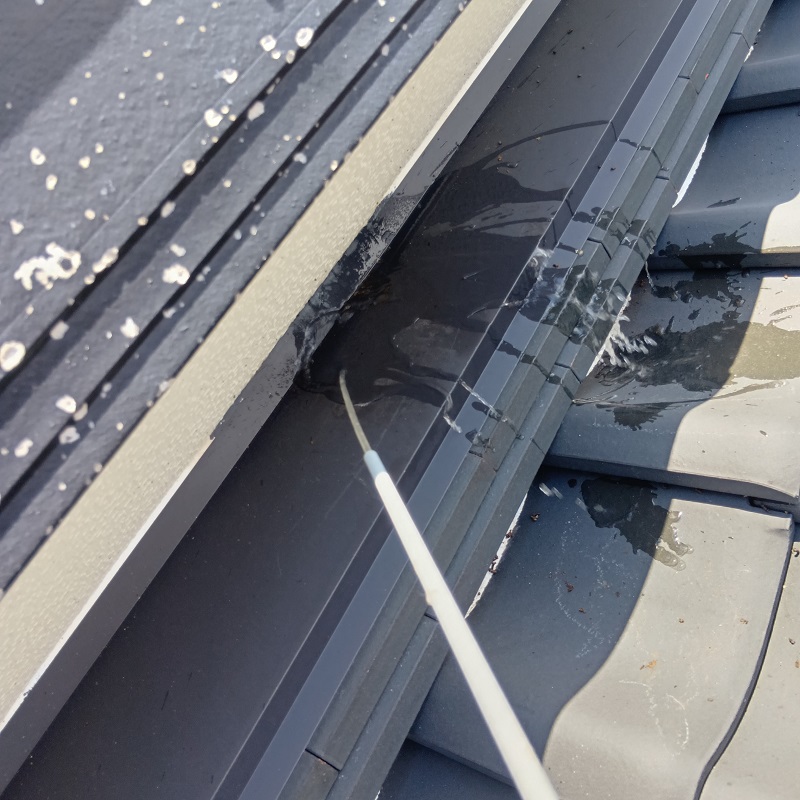 フン害のあった屋根を清掃・除菌