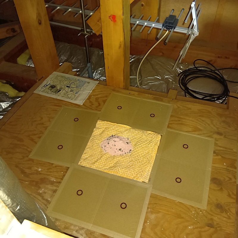 殺鼠剤・粘着シート設置の様子