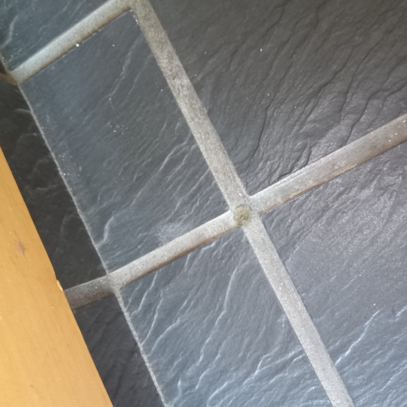 注入箇所を修復した様子