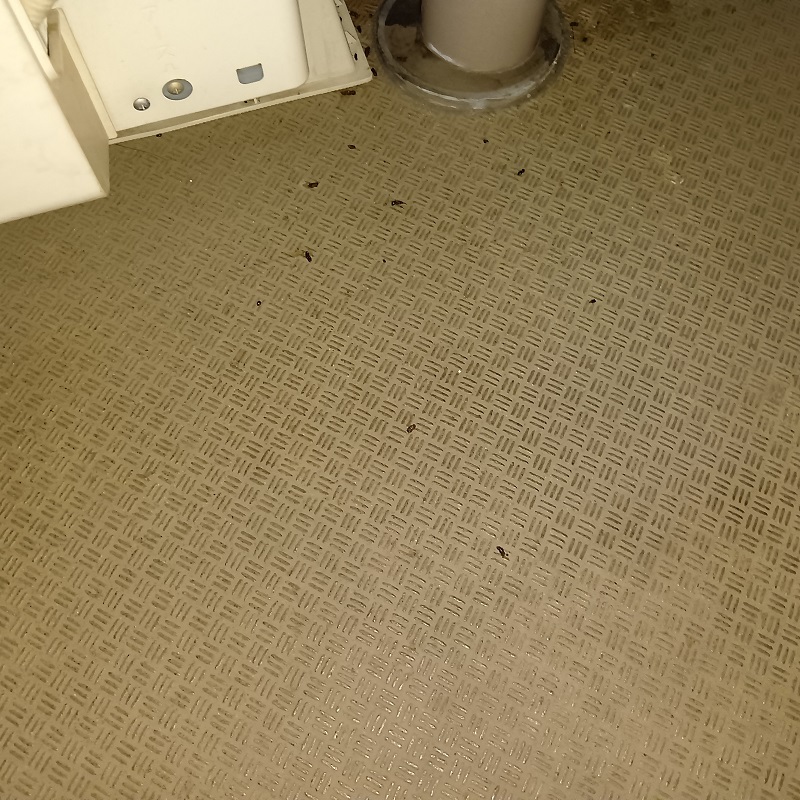 コウモリ駆除の施工事例（埼玉県熊谷市銀座）