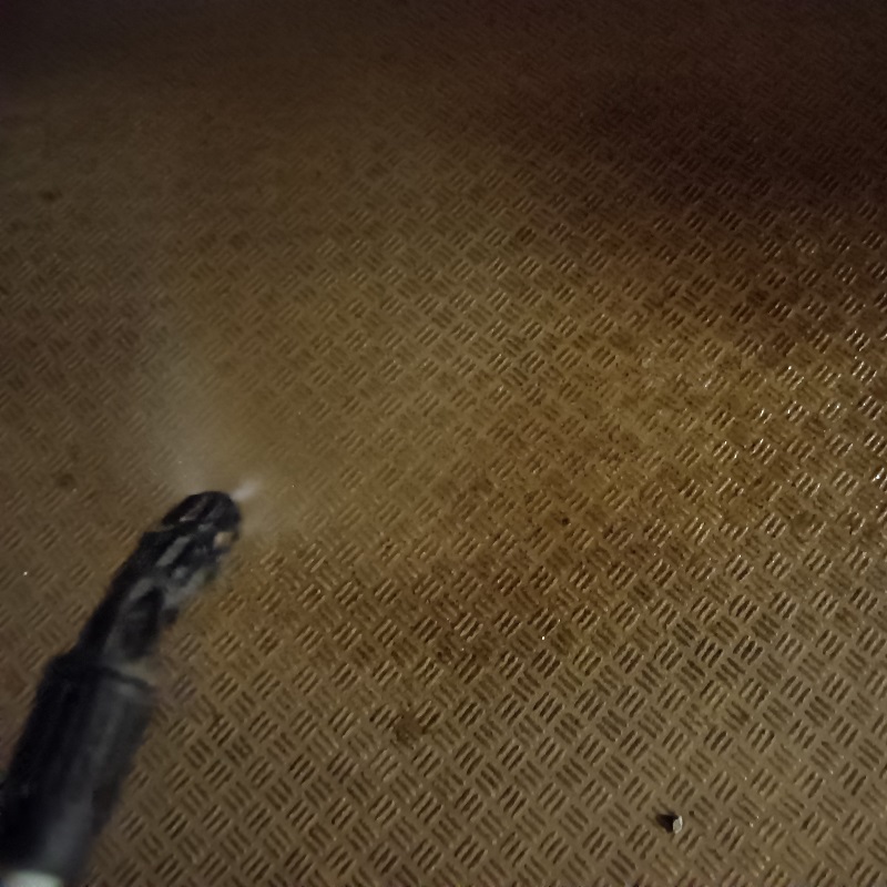 フン害箇所を清掃・除菌している様子