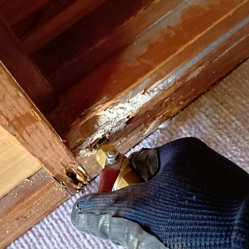 築年数35年のシロアリ駆除の施工事例（千葉県野田市山崎）