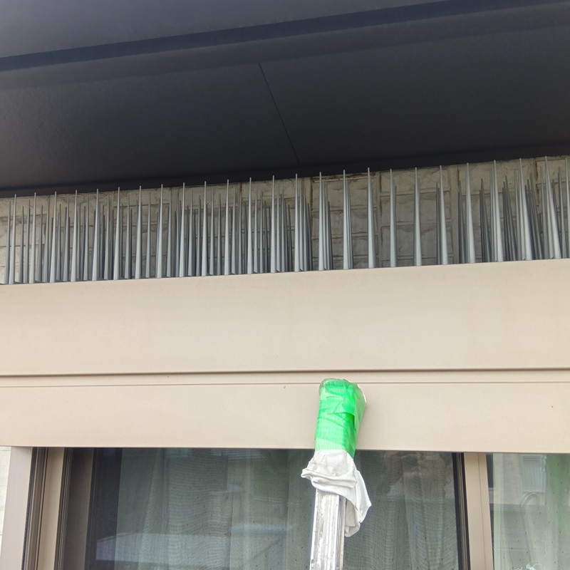 窓上に設置した剣山