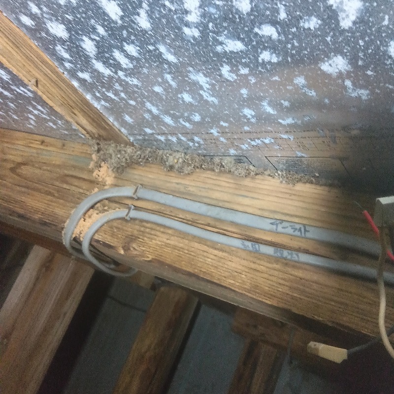 築年数30年のシロアリ駆除の施工事例（滋賀県高島市今津町椋川字自在坊）