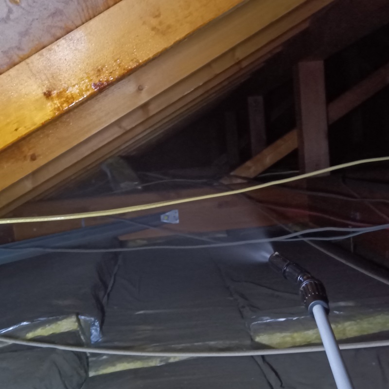 天井裏を殺虫処理する様子