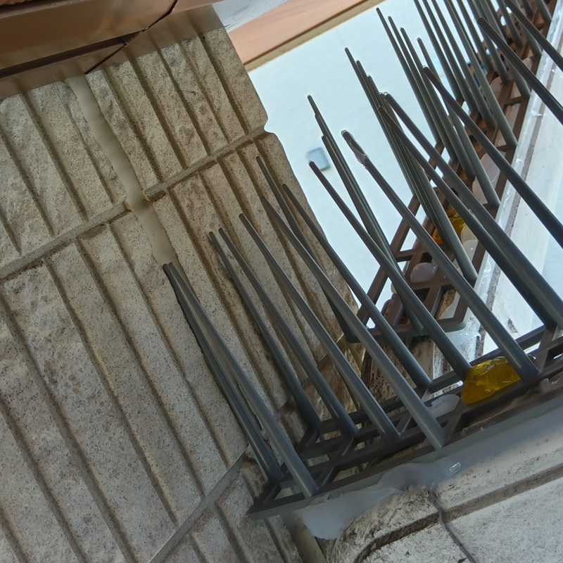 鳩が来る場所に剣山を設置