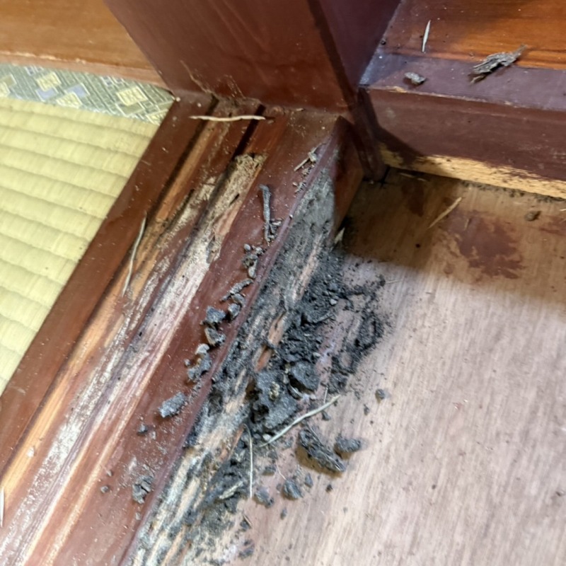 築年数20年のシロアリ駆除の施工事例（滋賀県野洲市南桜）