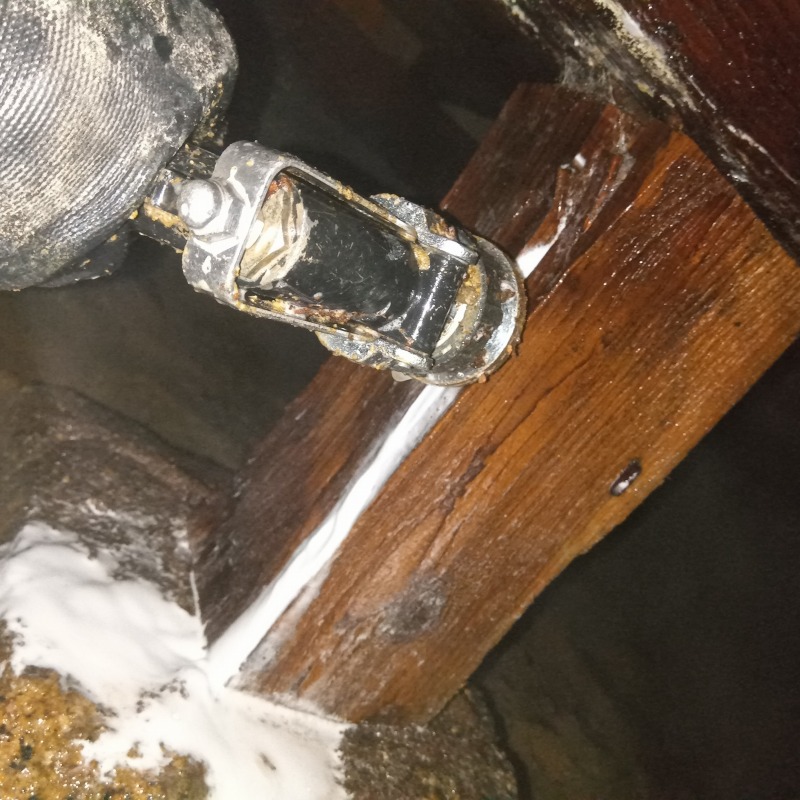 被害を受けた木材にシロアリ駆除剤を注入