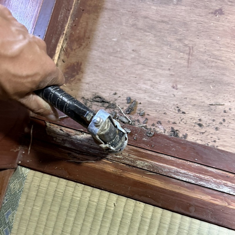 室内の木部に穴を開けて開けてシロアリ駆除剤を注入する様子