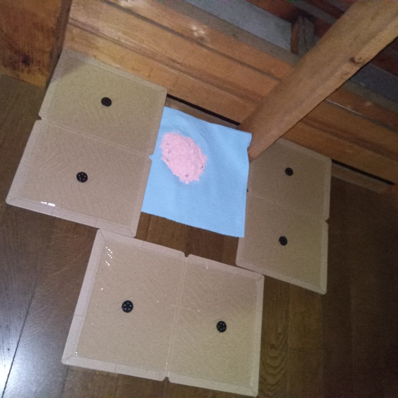 殺鼠剤と粘着シート