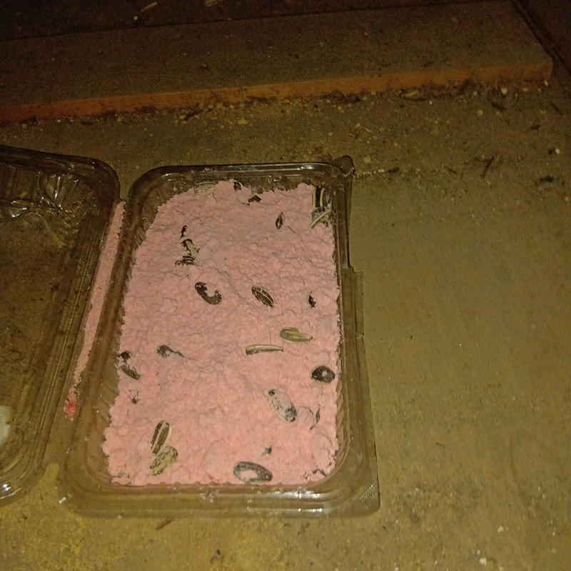 設置した殺鼠剤