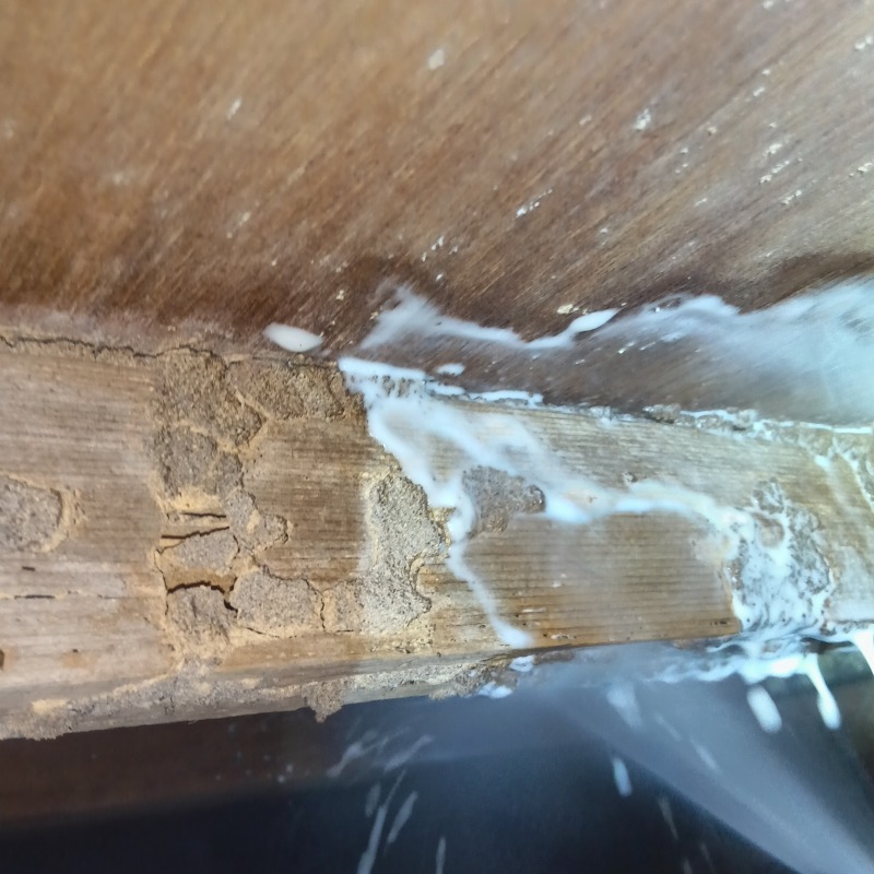 食害を受けた木材にシロアリ駆除剤を散布